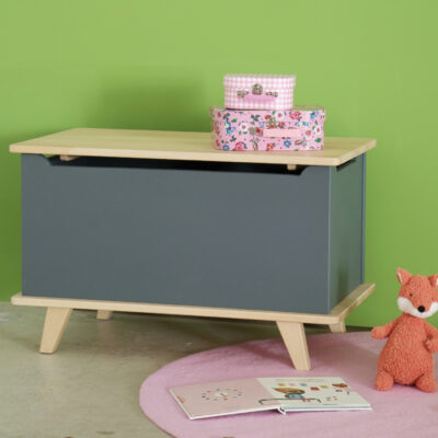 coffre-jouets-chambre-enfant Coffre à jouets gris souris chambre enfant